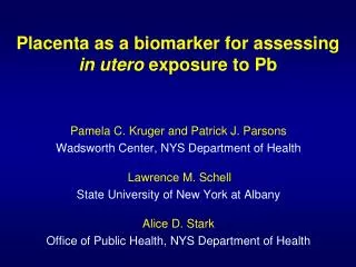 Placenta as a biomarker for assessing in utero exposure to Pb