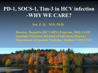 PD-1, SOCS-1, Tim-3 in HCV infection -WHY WE CARE?