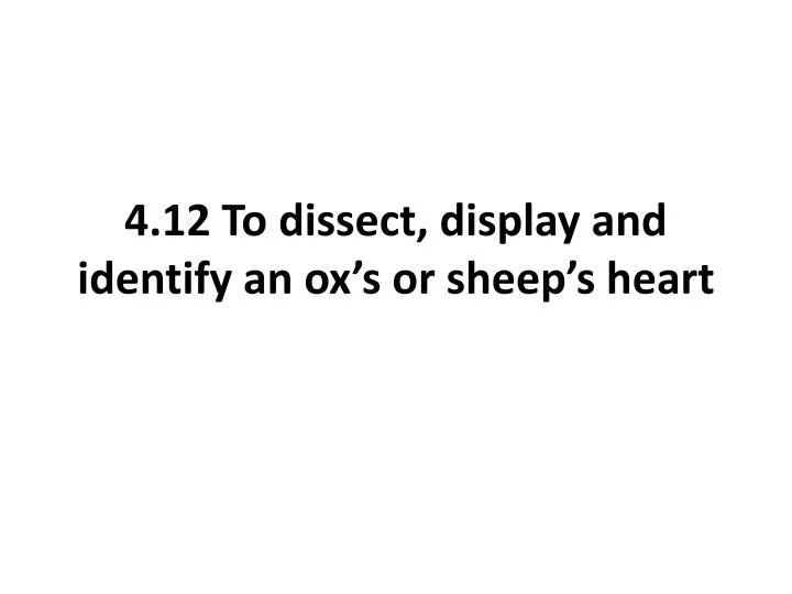 4 12 to dissect display and identify an ox s or sheep s heart