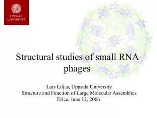Structural studies of small RNA phages