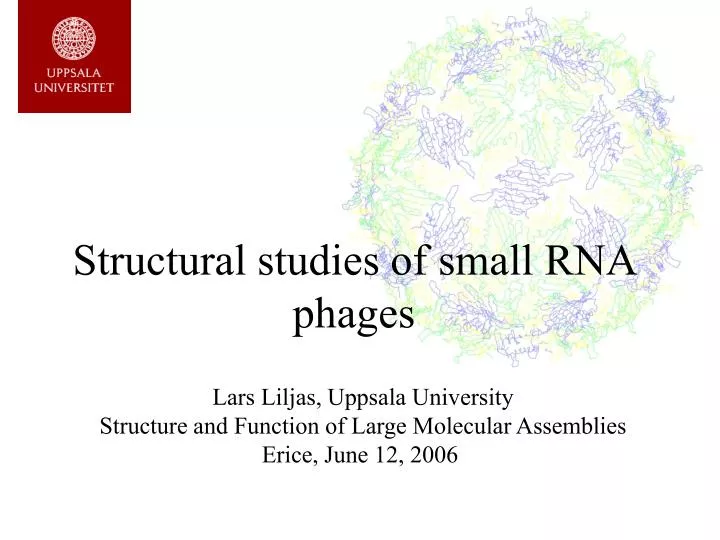 structural studies of small rna phages