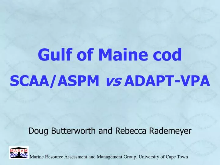 gulf of maine cod scaa aspm vs adapt vpa doug butterworth and rebecca rademeyer