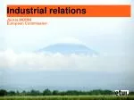 Challenges and Opportunities in European Industrial Relations: Dynamics of Workforce and Skills - slide 1