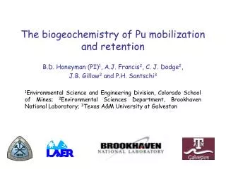 The biogeochemistry of Pu mobilization and retention