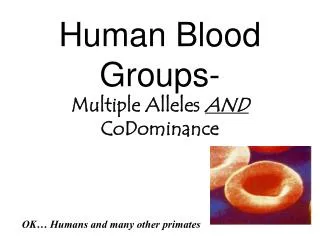 Human Blood Groups- Multiple Alleles AND CoDominance