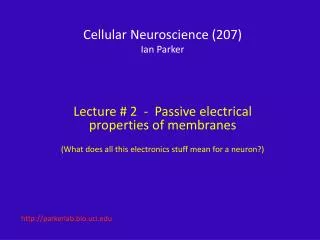Cellular Neuroscience (207) Ian Parker