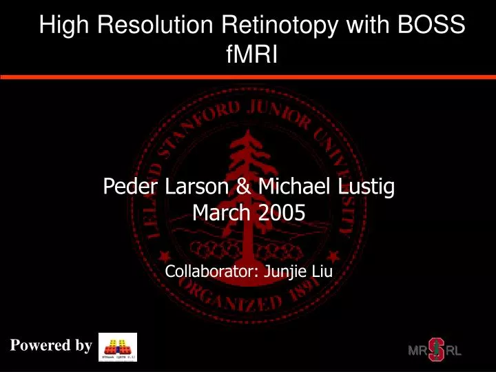 high resolution retinotopy with boss fmri