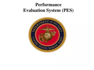 Performance Evaluation System (PES)