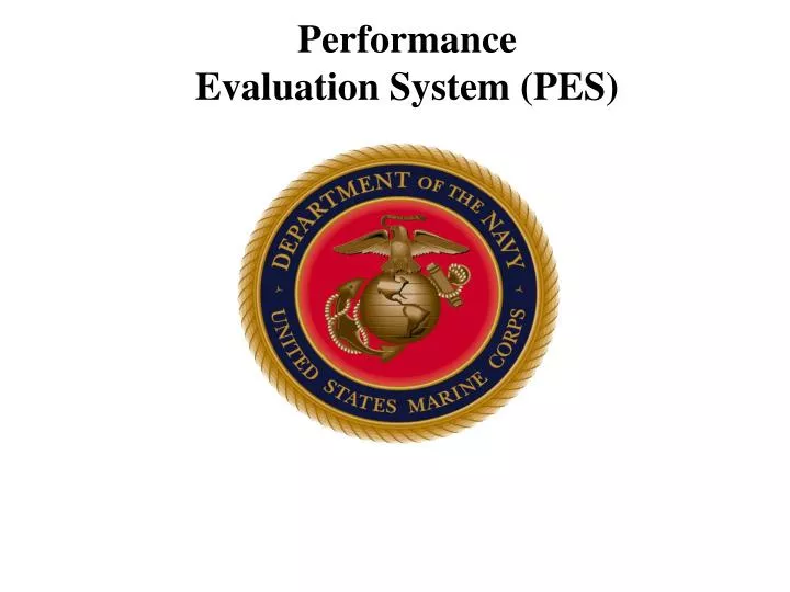 performance evaluation system pes