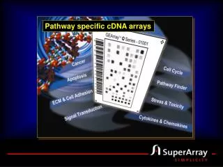 Pathway specific cDNA arrays