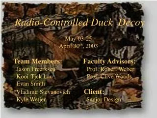 Radio-Controlled Duck Decoy