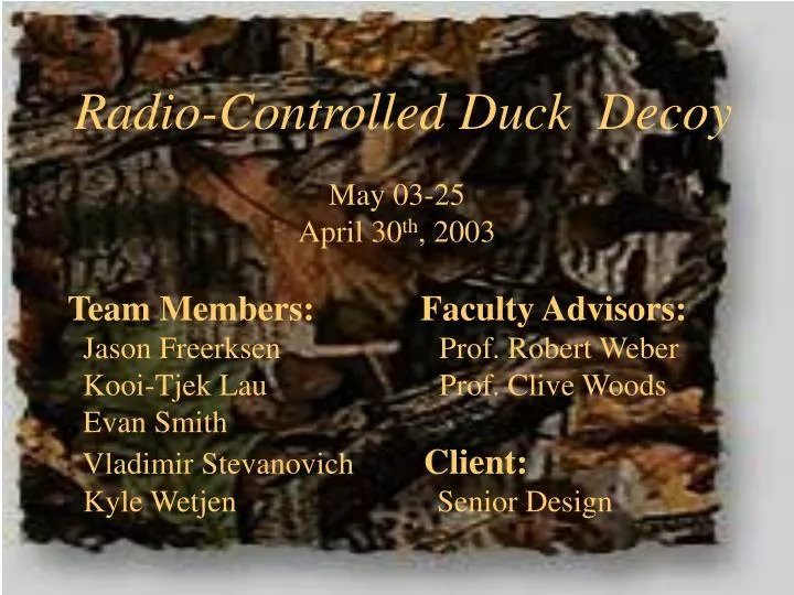 radio controlled duck decoy