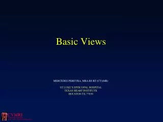 Basic Views