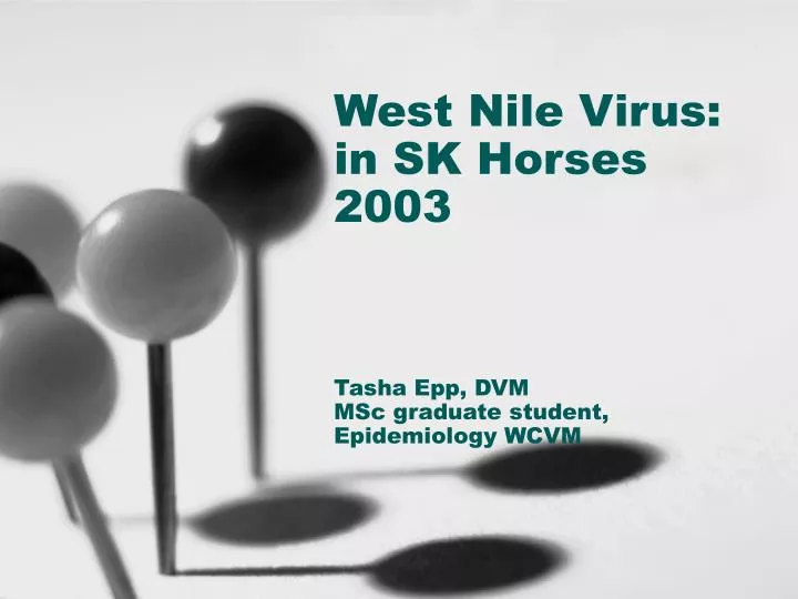 west nile virus in sk horses 2003 tasha epp dvm msc graduate student epidemiology wcvm