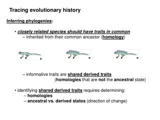 Inferring phylogenies : closely related species should have traits in common
