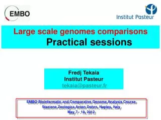 Large scale genomes comparisons Practical sessions
