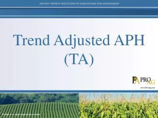 Trend Adjusted APH (TA)