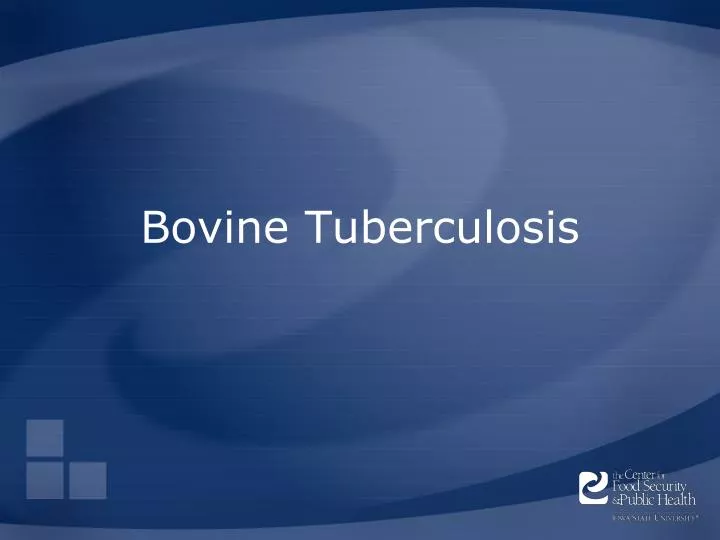 bovine tuberculosis