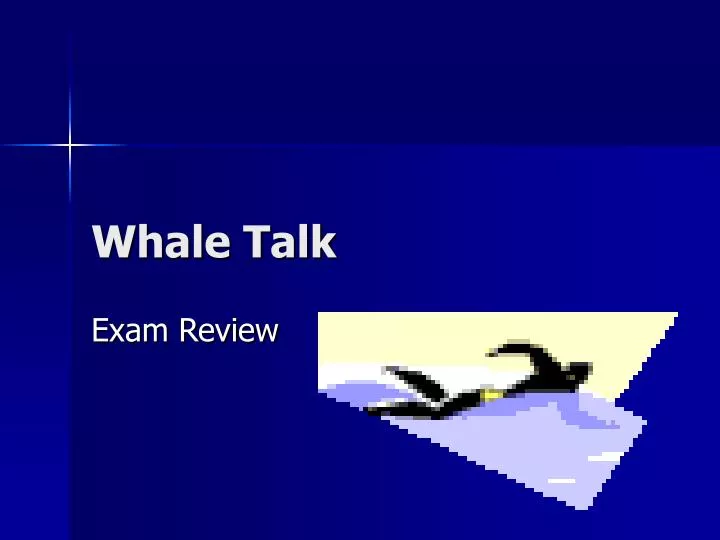whale talk