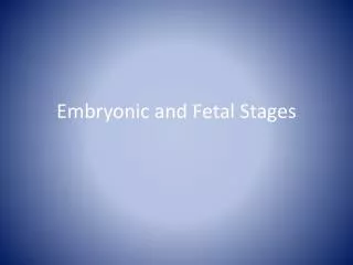 Embryonic and Fetal Stages