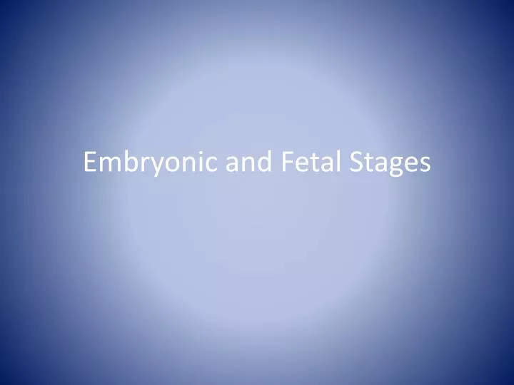 embryonic and fetal stages