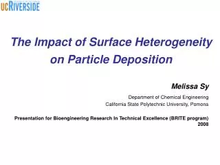 The Impact of Surface Heterogeneity on Particle Deposition