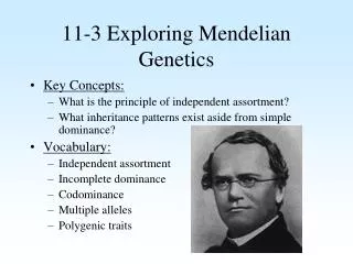 11-3 Exploring Mendelian Genetics