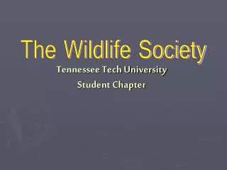 tennessee tech university student chapter