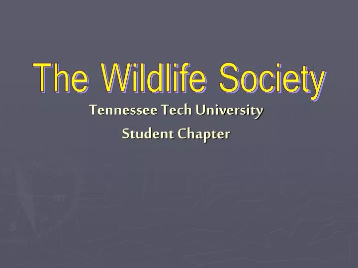 tennessee tech university student chapter