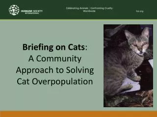 Briefing on Cats : A Community Approach to Solving Cat Overpopulation