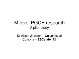 M level PGCE research A pilot study