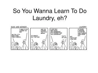 So You Wanna Learn To Do Laundry, eh?