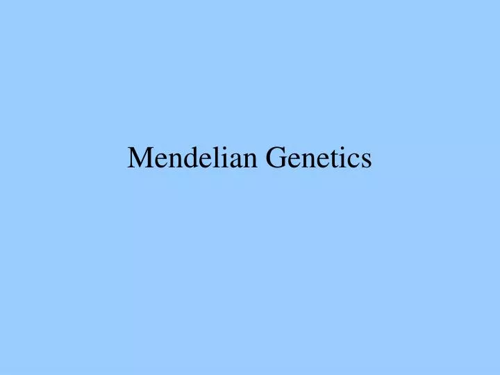 mendelian genetics