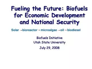 Fueling the Future: Biofuels for Economic Development and National Security Biofuels Initiative