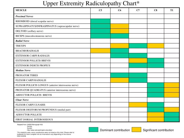 upper extremity radiculopathy chart