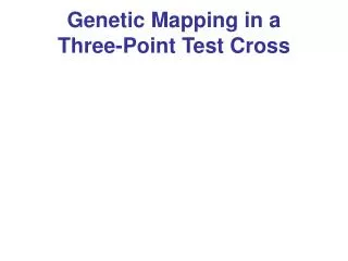 Genetic Mapping in a Three-Point Test Cross