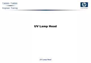 UV Lamp Head