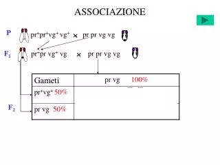associazione