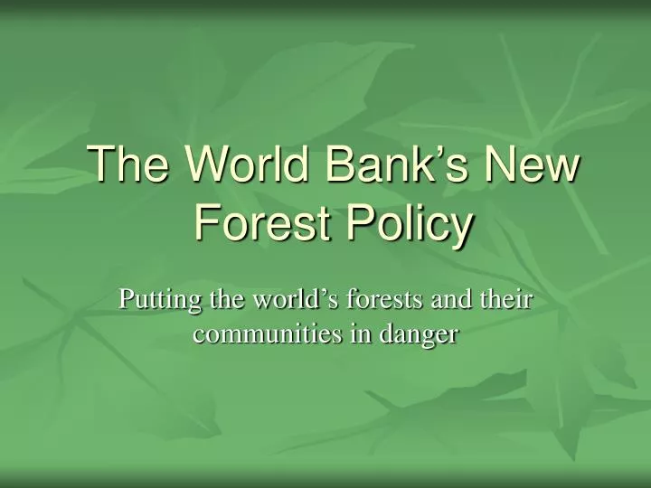 the world bank s new forest policy