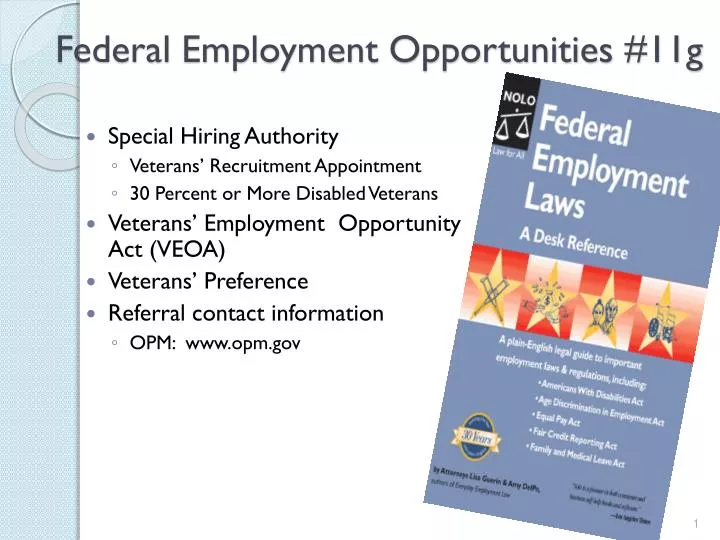 federal employment opportunities 11g