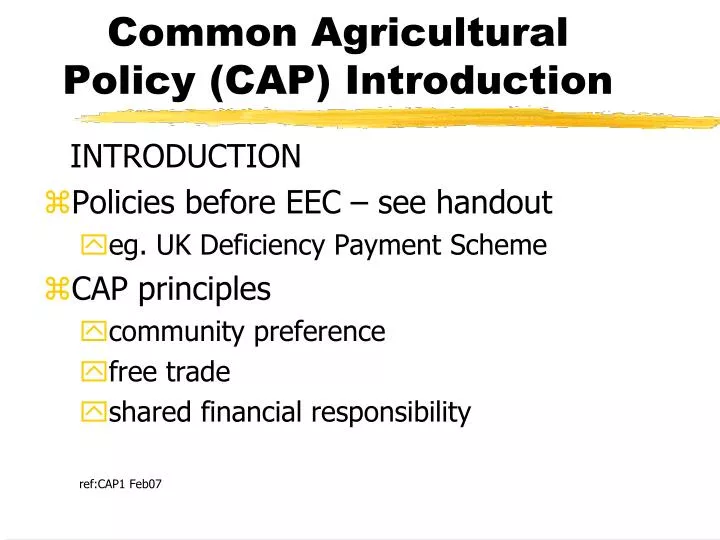 common agricultural policy cap introduction