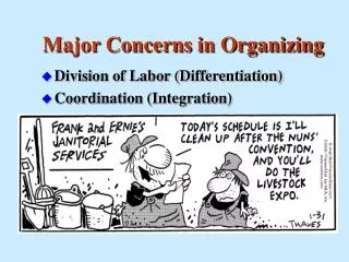 Major Concerns in Organizing