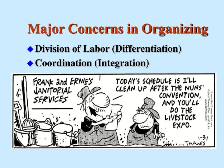 major concerns in organizing