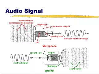 Audio Signal