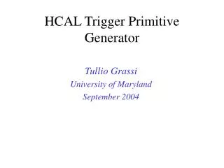 HCAL Trigger Primitive Generator
