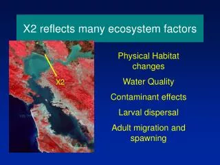 X2 reflects many ecosystem factors