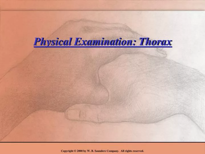 physical examination thorax