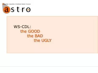 WS-CDL: the GOOD the BAD the UGLY