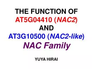 THE FUNCTION OF AT5G04410 ( NAC2 ) AND AT3G10500 ( NAC2-like ) NAC Family