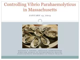 Controlling Vibrio Parahaemolyticus in Massachusetts